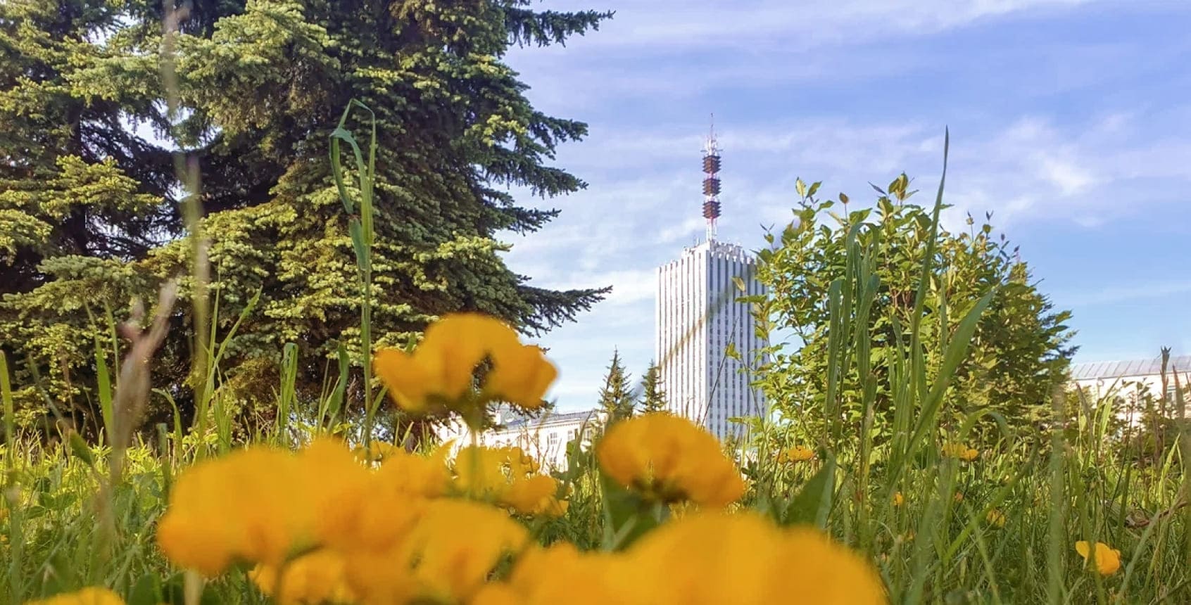 Архангельск