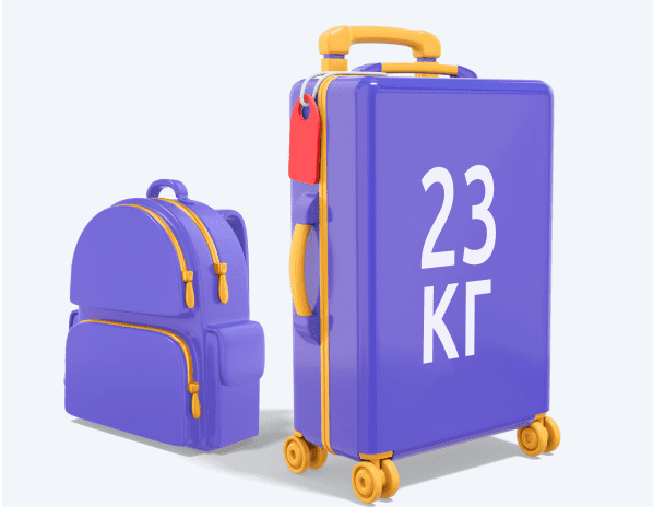 luggage